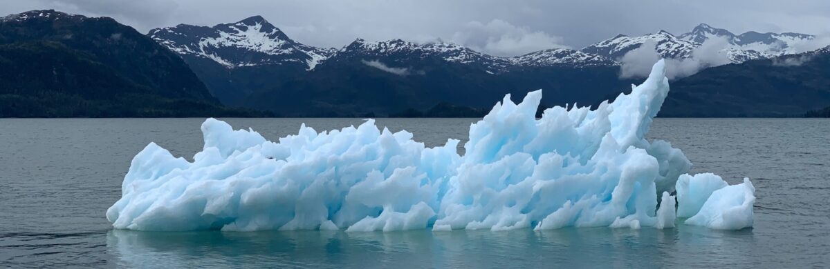 IPCC advocates immediate action on climate change