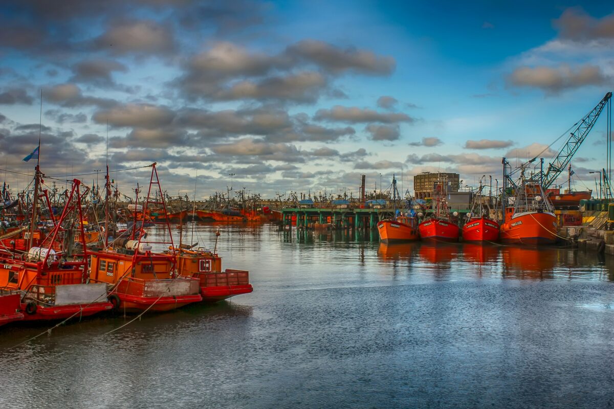 Port congestion risks global supply chain trouble