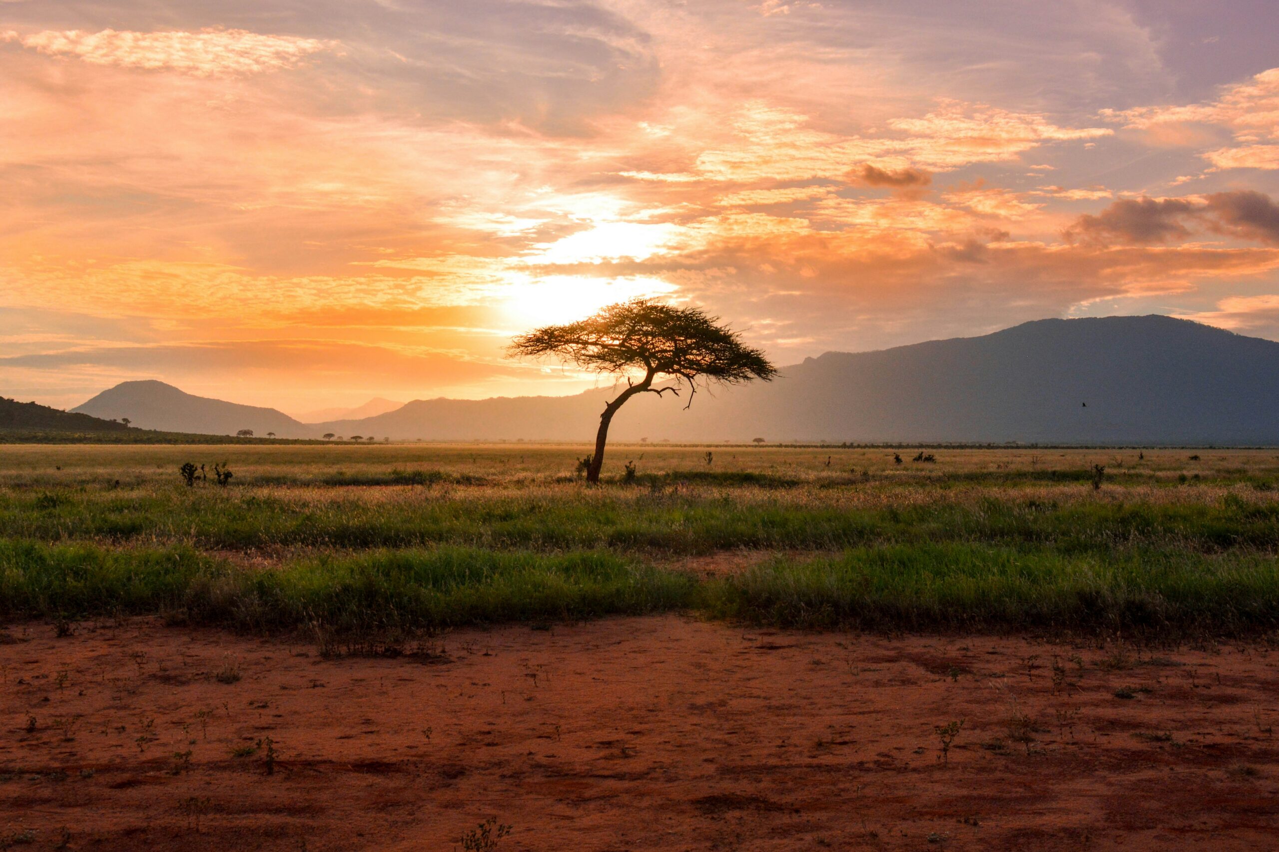 How will El Niño impact Africa? | Part 1